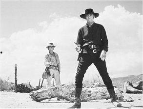 美国西部牛仔电影大全,美国牛仔电影大全经典回顾